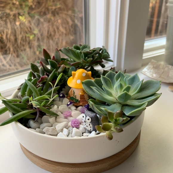 Test - Picture 1 of 1